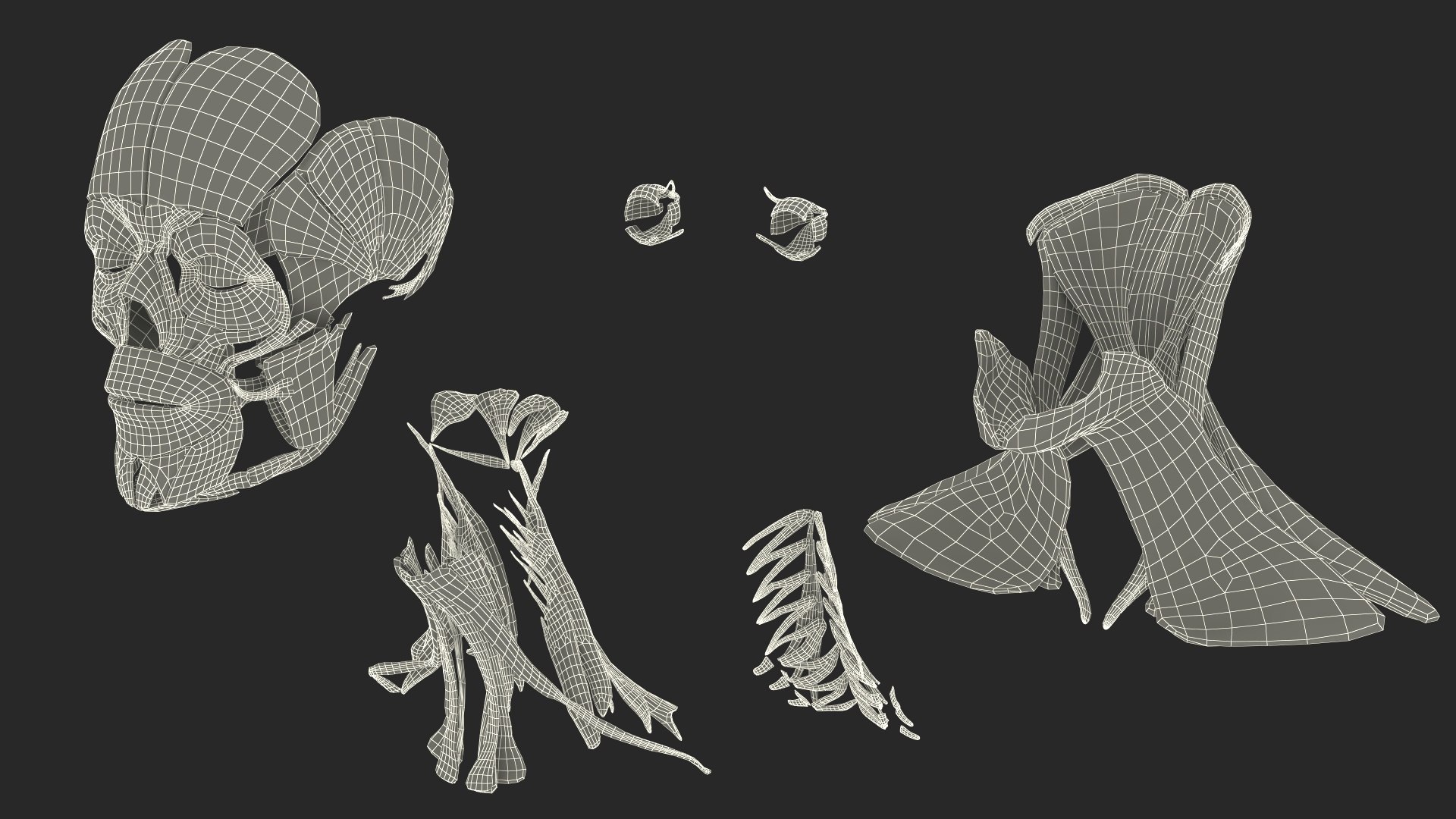 Head Anatomy Asian Man 3D model https://p.turbosquid.com/ts-thumb/sI/j6pT7F/kS/head_anatomy_asian_man_031/jpg/1730633556/1920x1080/fit_q87/a063a42419520bc85607a6997b1ceecd2ce03df5/head_anatomy_asian_man_031.jpg