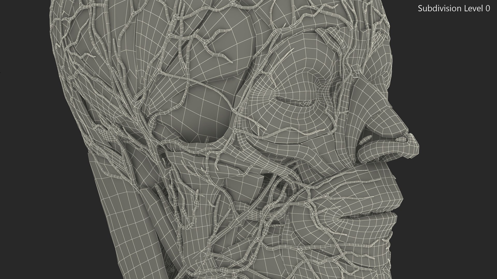 Head Anatomy Asian Man 3D model https://p.turbosquid.com/ts-thumb/sI/j6pT7F/tT/head_anatomy_asian_man_022/jpg/1730633517/1920x1080/fit_q87/29a21c85b9f6df627d7148b8e2b2027b2e7f5be2/head_anatomy_asian_man_022.jpg