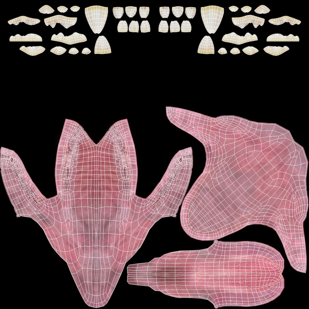 3D Dog Jaw Anatomic Rigged https://p.turbosquid.com/ts-thumb/sI/pGNZ0j/1a/dogjawanatomicriggedc4dmodel034/jpg/1712619590/1920x1080/fit_q87/e1162367c28ee29fedeb867e1b5425de4ebd9090/dogjawanatomicriggedc4dmodel034.jpg