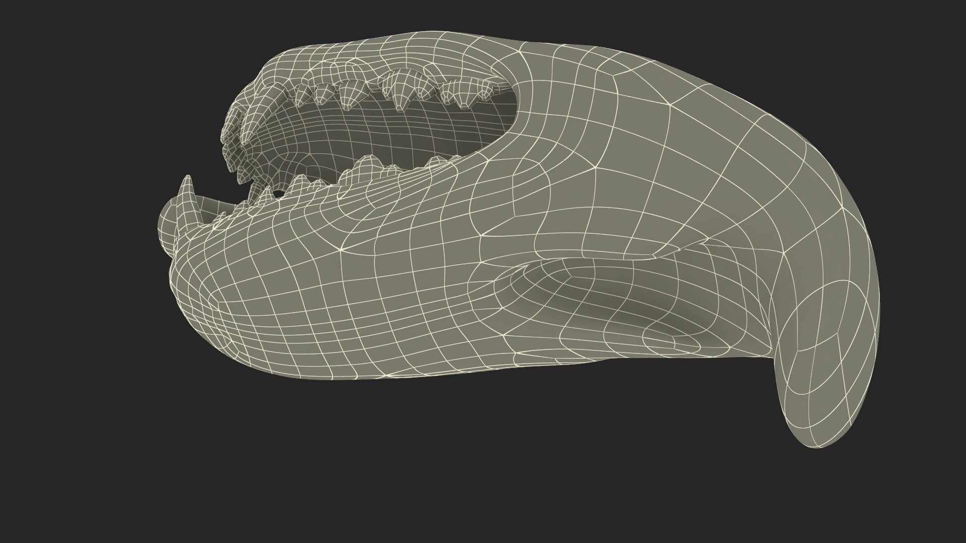 3D Dog Jaw Anatomic Rigged https://p.turbosquid.com/ts-thumb/sI/pGNZ0j/e7/dogjawanatomicriggedc4dmodel039/jpg/1712619604/1920x1080/fit_q87/45e32440d54cc12f8b526f4238b89c58a4abf655/dogjawanatomicriggedc4dmodel039.jpg