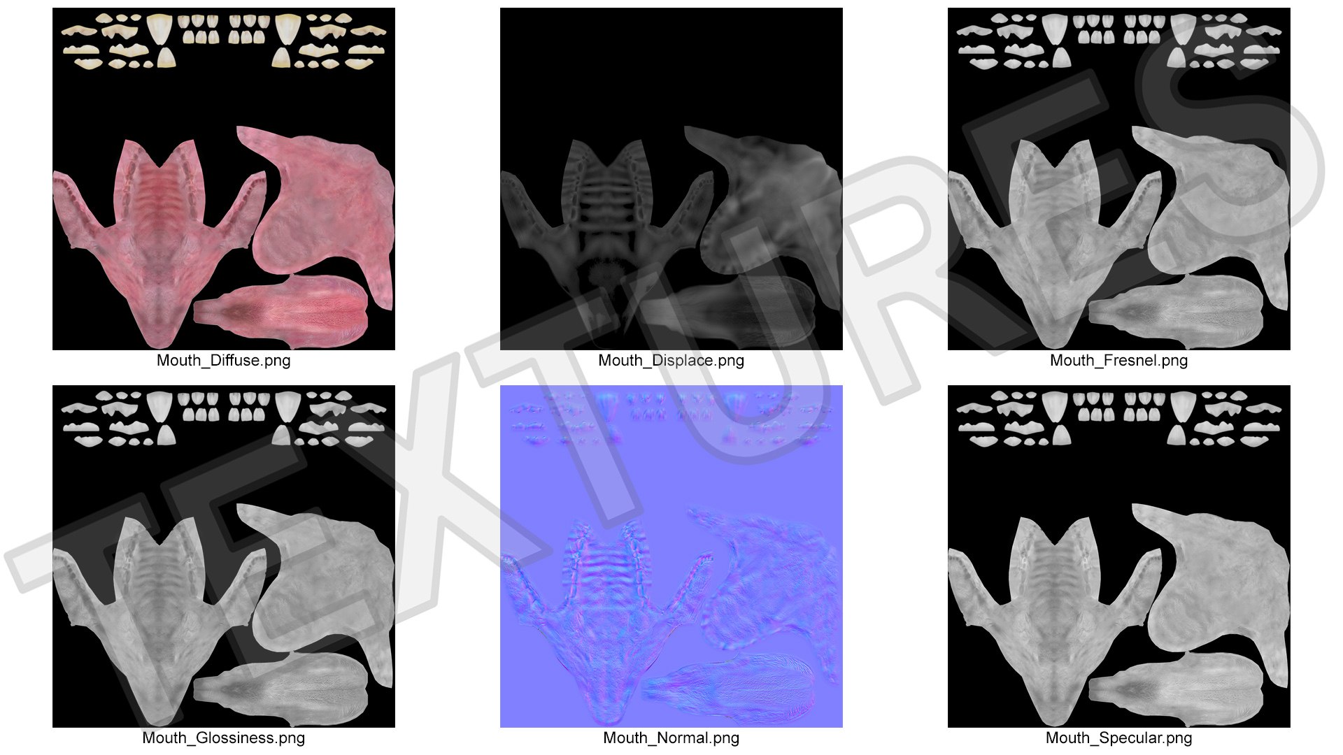 3D Dog Jaw Anatomic Rigged https://p.turbosquid.com/ts-thumb/sI/pGNZ0j/rA/dogjawanatomicriggedc4dmodel035/jpg/1712619593/1920x1080/fit_q87/5b930f3291a1d44a888bf360d7d283d3075dd3c2/dogjawanatomicriggedc4dmodel035.jpg