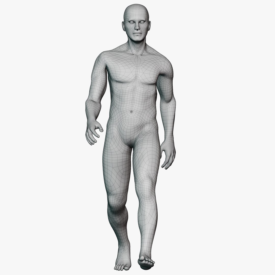Male mannequin pose 2 PBR 3D model https://p.turbosquid.com/ts-thumb/sI/vSHzYb/1S/wireallmale0201/png/1771338487/1920x1080/fit_q87/18e6264f1e69cf1e56fe2da6edd0130e180136d3/wireallmale0201.jpg