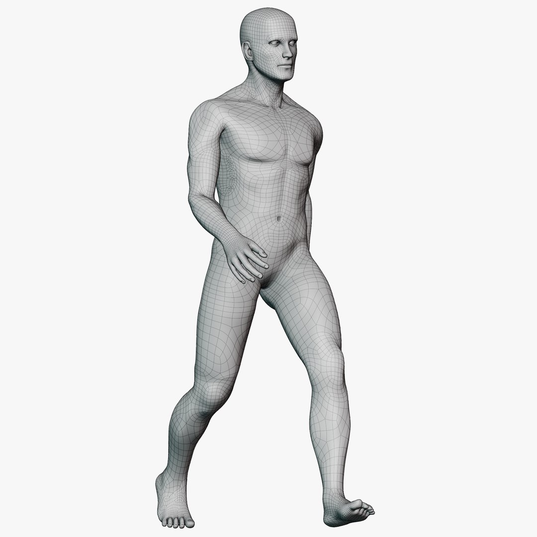 Male mannequin pose 2 PBR 3D model https://p.turbosquid.com/ts-thumb/sI/vSHzYb/Ie/wireallmale0234/png/1771338492/1920x1080/fit_q87/b05eb5d15ccb4a11f17666b1d6b0d7f896410b76/wireallmale0234.jpg