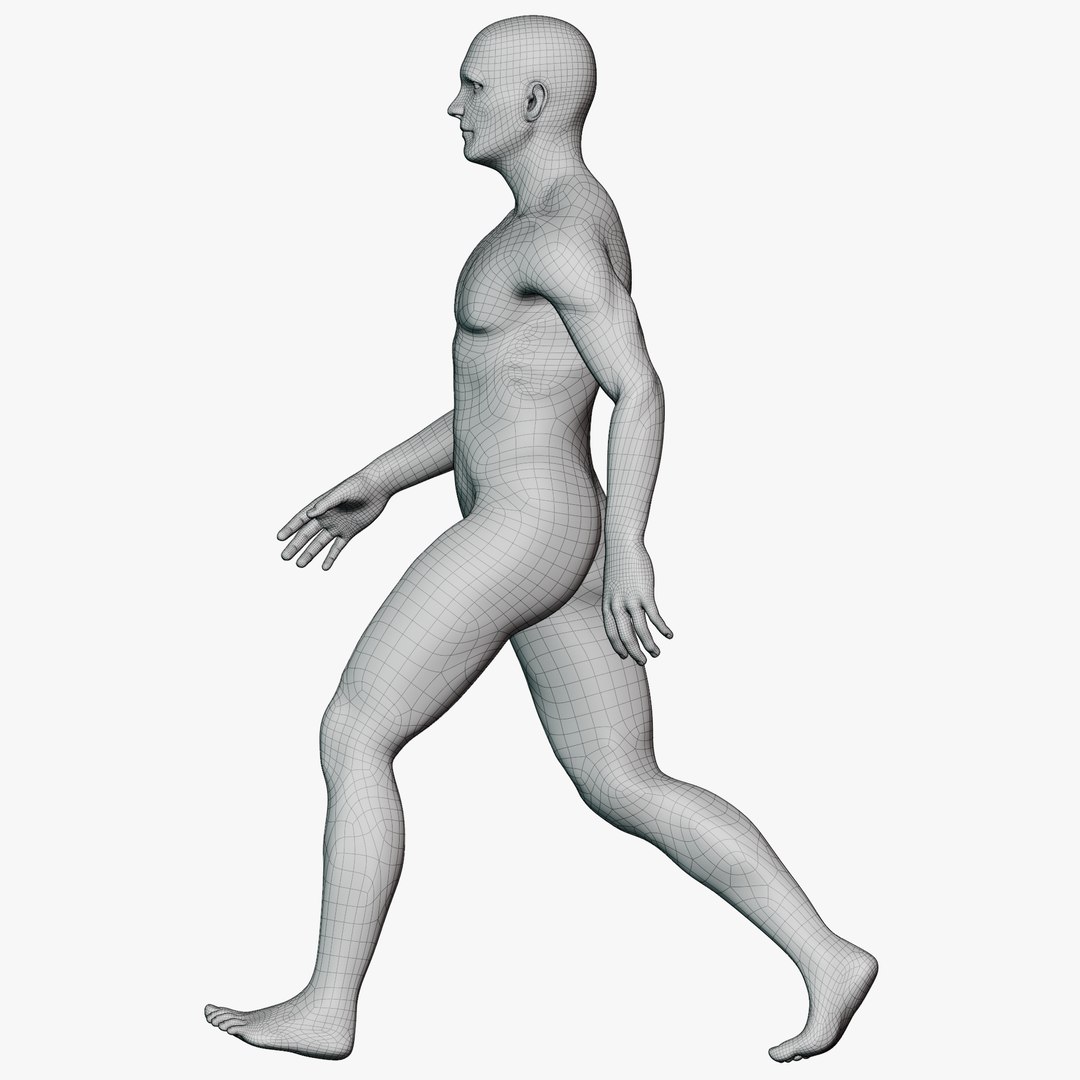 Male mannequin pose 2 PBR 3D model https://p.turbosquid.com/ts-thumb/sI/vSHzYb/UW/wireallmale0210/png/1771338488/1920x1080/fit_q87/5705f7c3f782858dbc6b4ab9f7b5119dcd08192d/wireallmale0210.jpg