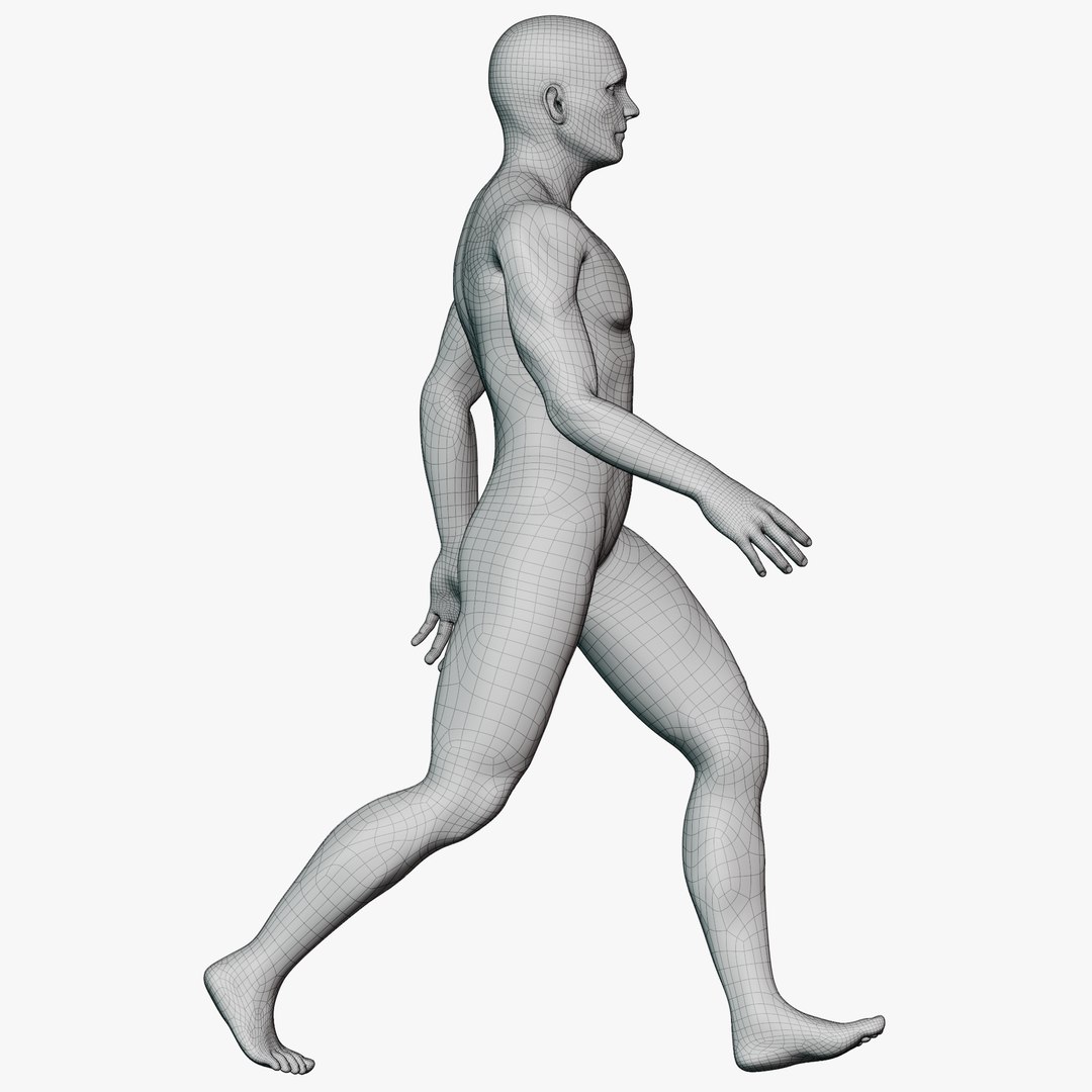 Male mannequin pose 2 PBR 3D model https://p.turbosquid.com/ts-thumb/sI/vSHzYb/V4/wireallmale0228/png/1771338491/1920x1080/fit_q87/cebf6793c54f1f5c07731ccca4150bdbc76764da/wireallmale0228.jpg