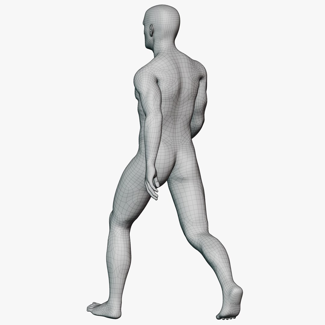 Male mannequin pose 2 PBR 3D model https://p.turbosquid.com/ts-thumb/sI/vSHzYb/Xc/wireallmale0215/png/1771338489/1920x1080/fit_q87/c13c0f9da5a46ca30b3e2ae02f81975009554402/wireallmale0215.jpg