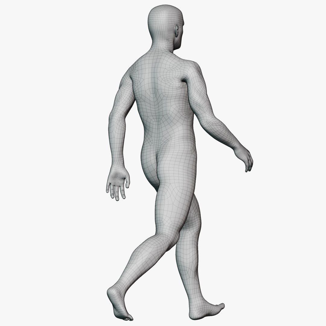 Male mannequin pose 2 PBR 3D model https://p.turbosquid.com/ts-thumb/sI/vSHzYb/aO/wireallmale0223/png/1771338490/1920x1080/fit_q87/00673df3926acb7e24698c36d6220b82cb11133a/wireallmale0223.jpg