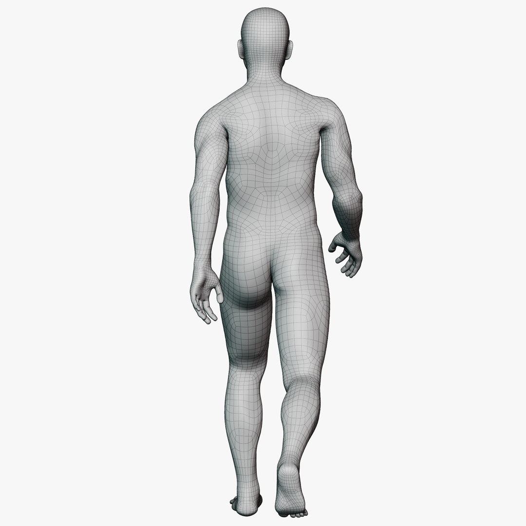 Male mannequin pose 2 PBR 3D model https://p.turbosquid.com/ts-thumb/sI/vSHzYb/bt/wireallmale0219/png/1771338490/1920x1080/fit_q87/38089502c58ef3e2000e724f255632e523e92902/wireallmale0219.jpg