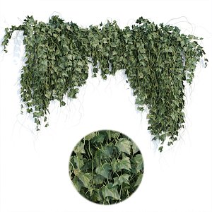 3D Hanging wall plants vol 91