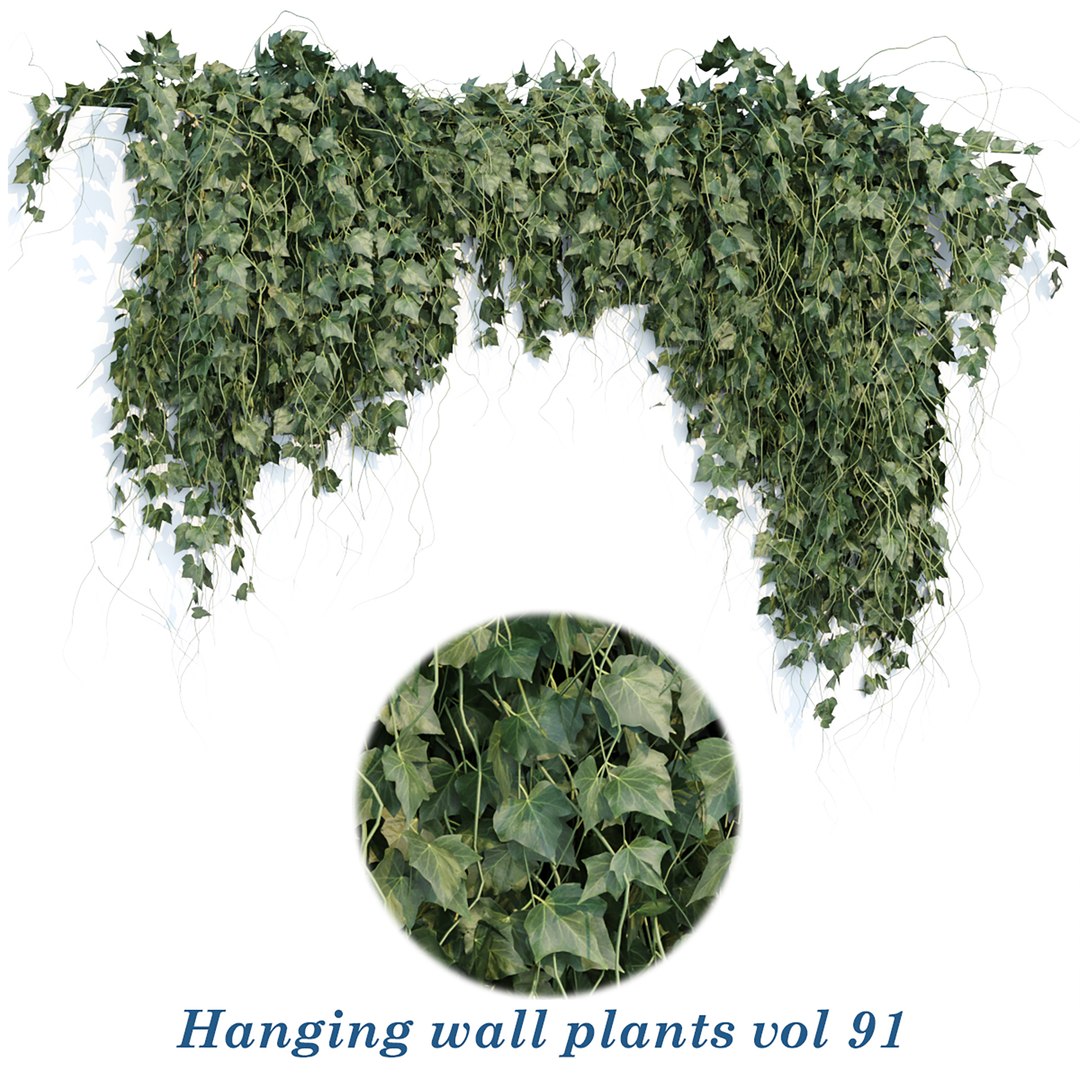 3D Hanging wall plants vol 91 https://p.turbosquid.com/ts-thumb/sI/va8pWS/ua/1/jpg/1664097657/1920x1080/fit_q87/dbf27d7ccd765bc9fe67879cd1fa6bf502db3d89/1.jpg