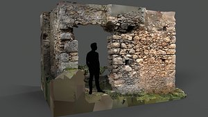 Abandoned Village Surface Scan - Stone Wall 03 3D model
