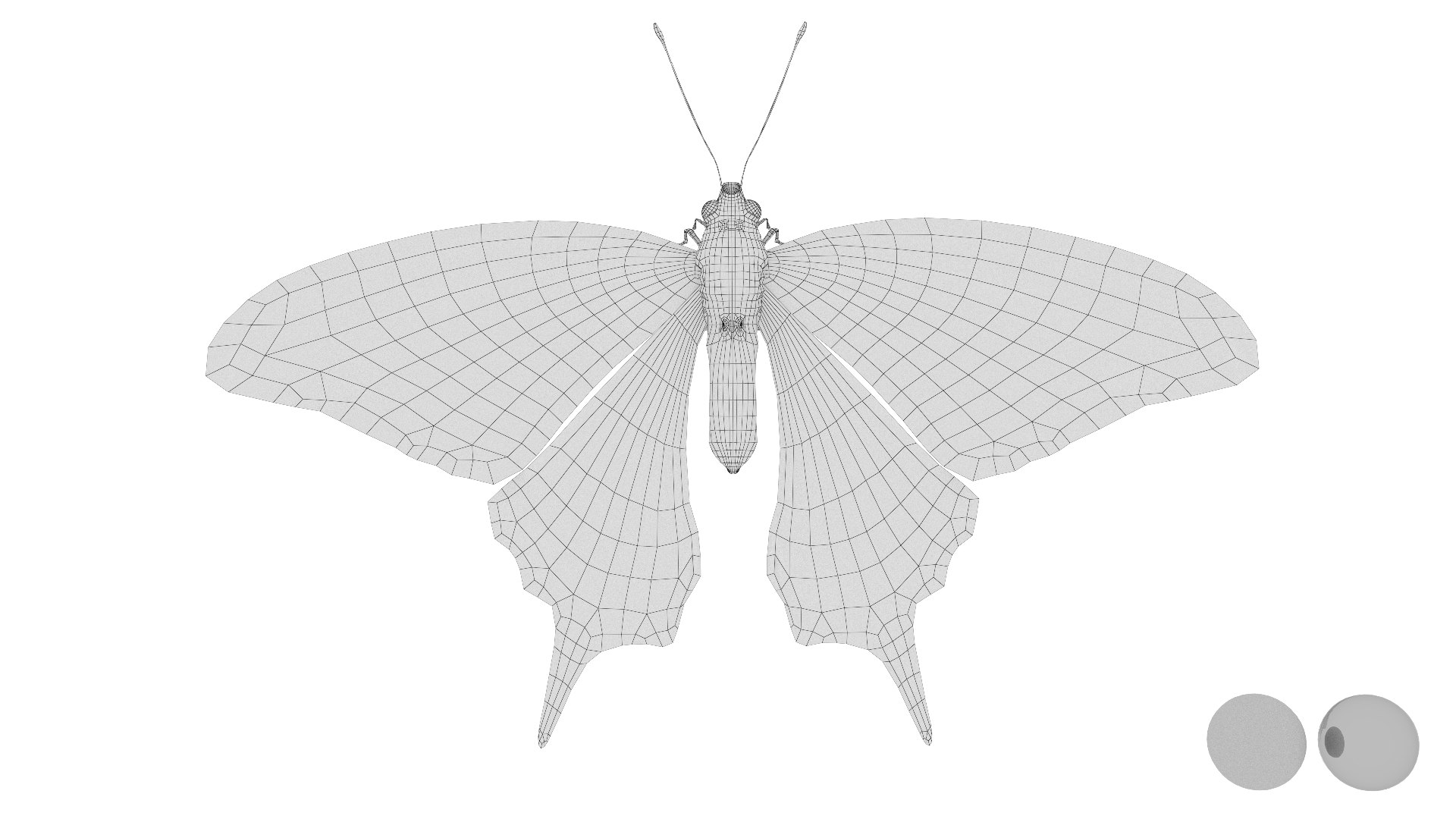 3D Rigged swallowTail model - TurboSquid 2013340