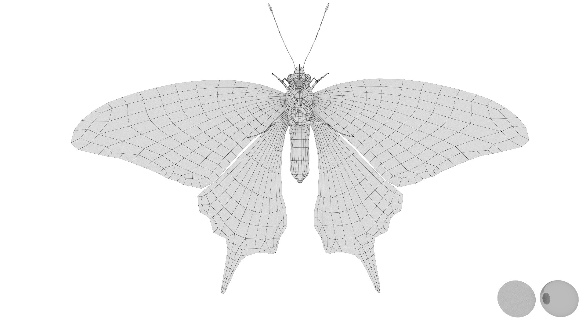 3D Rigged swallowTail model - TurboSquid 2013340