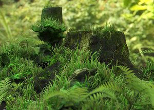 3D model environment grass forest