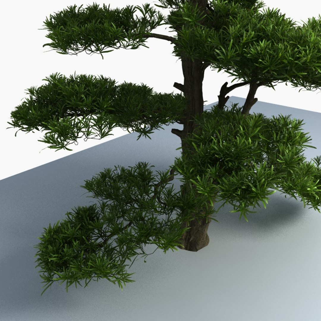 3D Pine Tree - TurboSquid 1495419