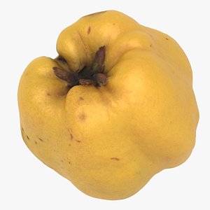 3D Quince fruit 03 high-poly 3D model model