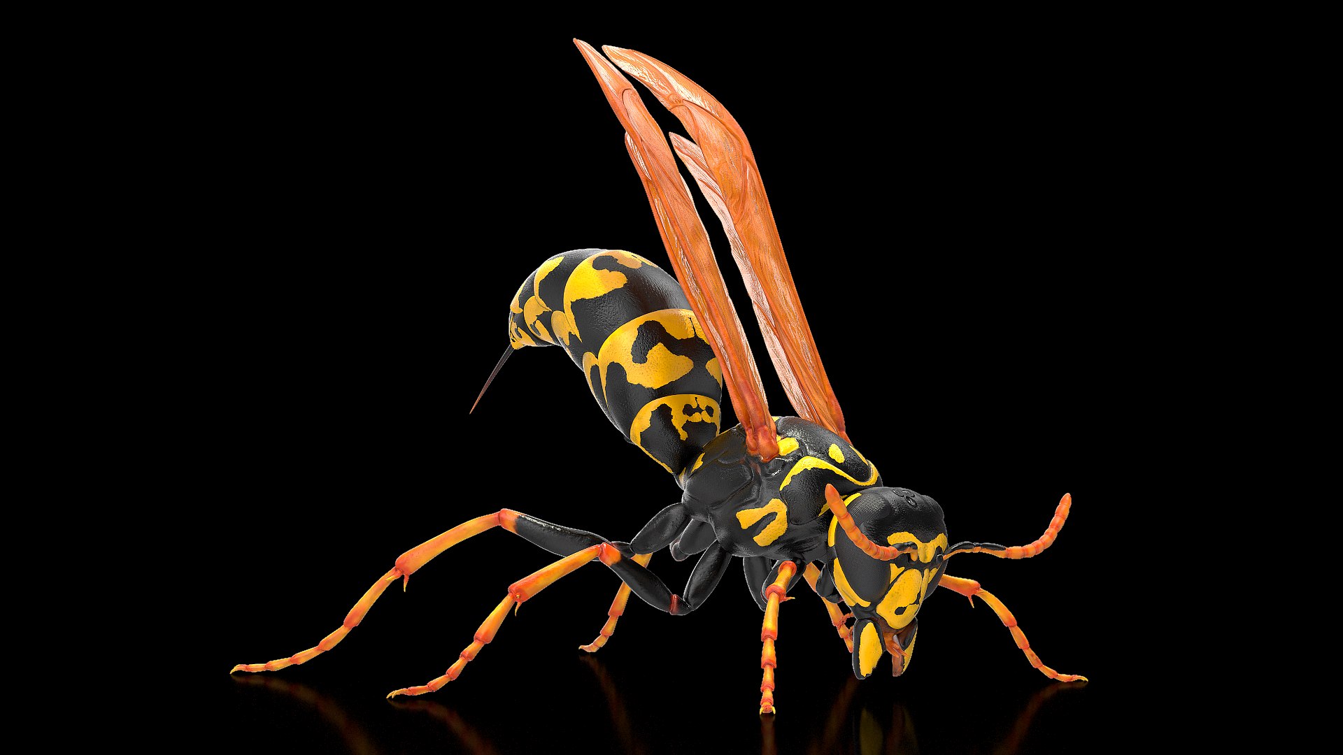 Paper Wasp Rigged 3D Model - TurboSquid 1623876