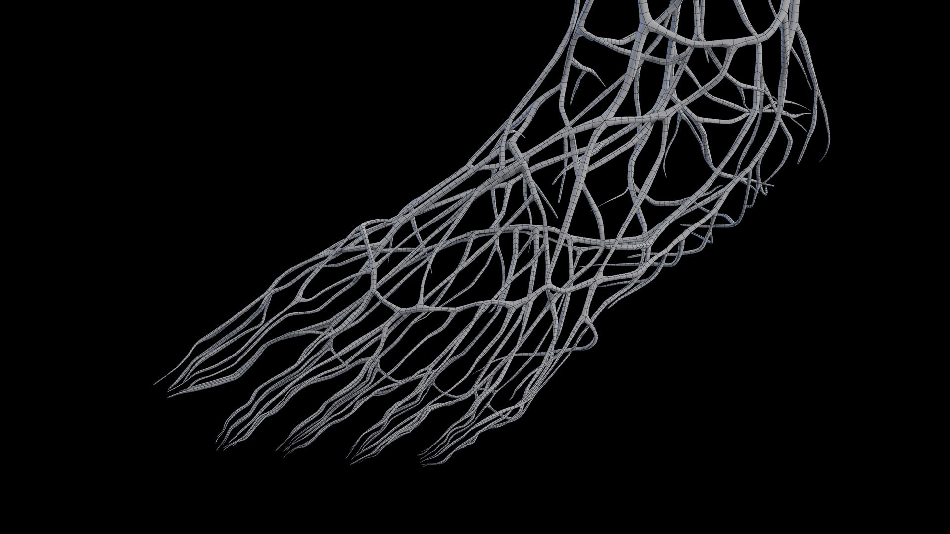Human Male Body Skeleton and Vascular System Static 3D https://p.turbosquid.com/ts-thumb/sJ/d5gL0u/3c/male_vascular_wire0013/jpg/1680872789/1920x1080/fit_q87/123666699fe3de69963bd2bcfcc173b3da320196/male_vascular_wire0013.jpg