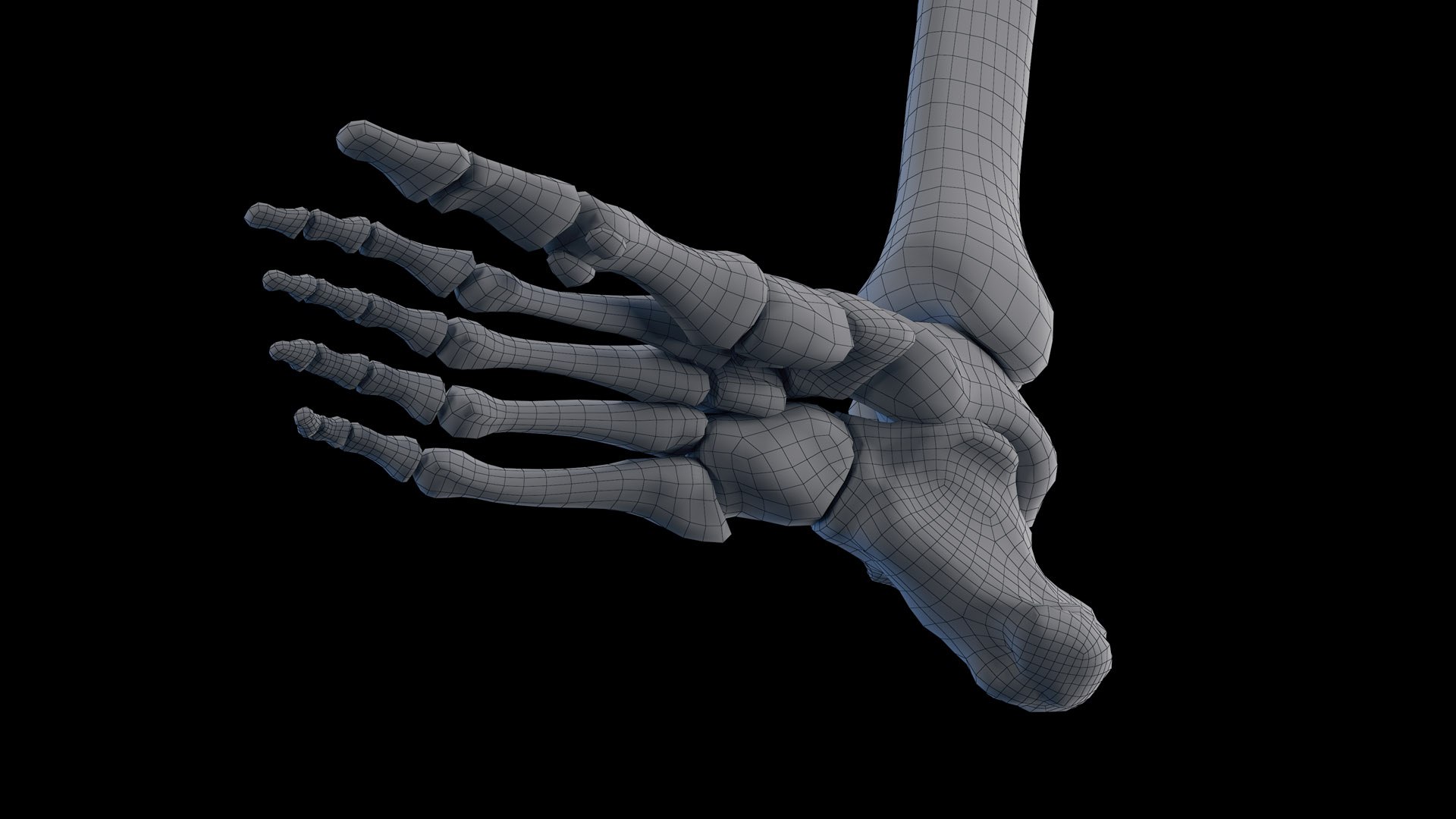 Human Male Body Skeleton and Vascular System Static 3D https://p.turbosquid.com/ts-thumb/sJ/d5gL0u/63/male_skeleton_wire0012/jpg/1680872747/1920x1080/fit_q87/1645f83b36f74e87e84c3d4c3e7bf614e2647793/male_skeleton_wire0012.jpg