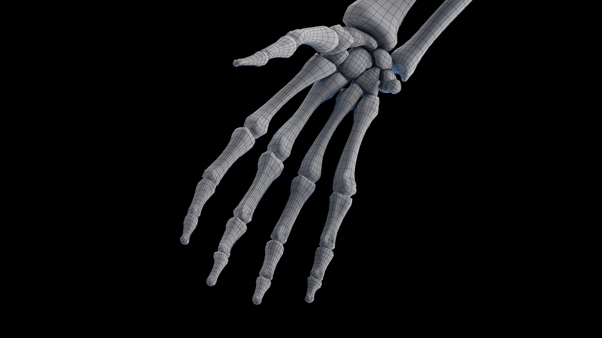 Human Male Body Skeleton and Vascular System Static 3D https://p.turbosquid.com/ts-thumb/sJ/d5gL0u/UM/male_skeleton_wire0010/jpg/1680872747/1920x1080/fit_q87/7c8374bda1762261b25ee9ee98d017451edbb340/male_skeleton_wire0010.jpg