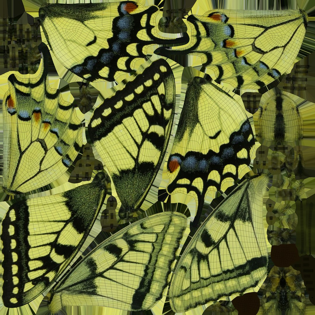 3D papilio swallowtail butterfly model https://p.turbosquid.com/ts-thumb/sJ/iMMUti/5qLvV6S2/papilio_uv/jpg/1592460225/1920x1080/fit_q87/69bd08b42c048b853f2227f0b9e45f25e501bc20/papilio_uv.jpg
