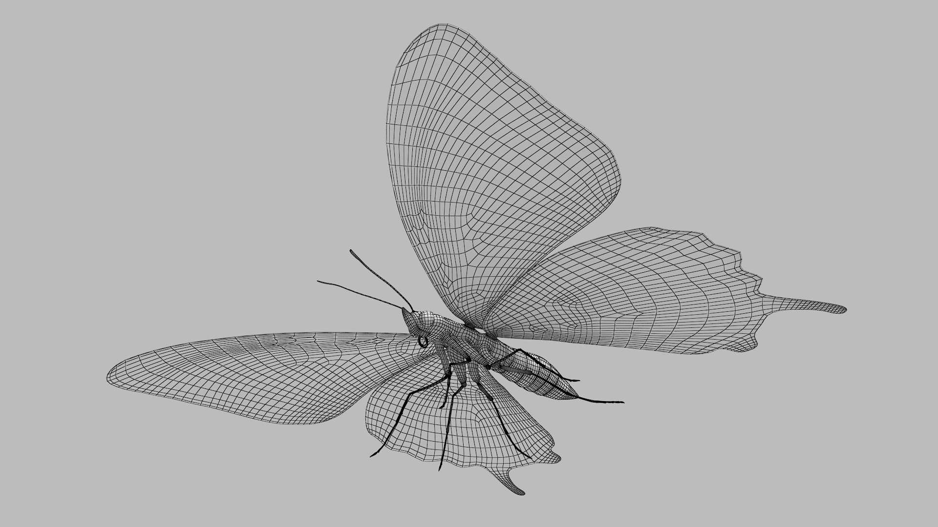 3D papilio swallowtail butterfly model https://p.turbosquid.com/ts-thumb/sJ/iMMUti/7GwP8SbS/pappilio_r4w/png/1592460244/1920x1080/fit_q87/56785e10ef30ec78e1ead9ca0e7c2500928f7108/pappilio_r4w.jpg