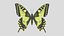 Papilio Swallowtail Butterfly