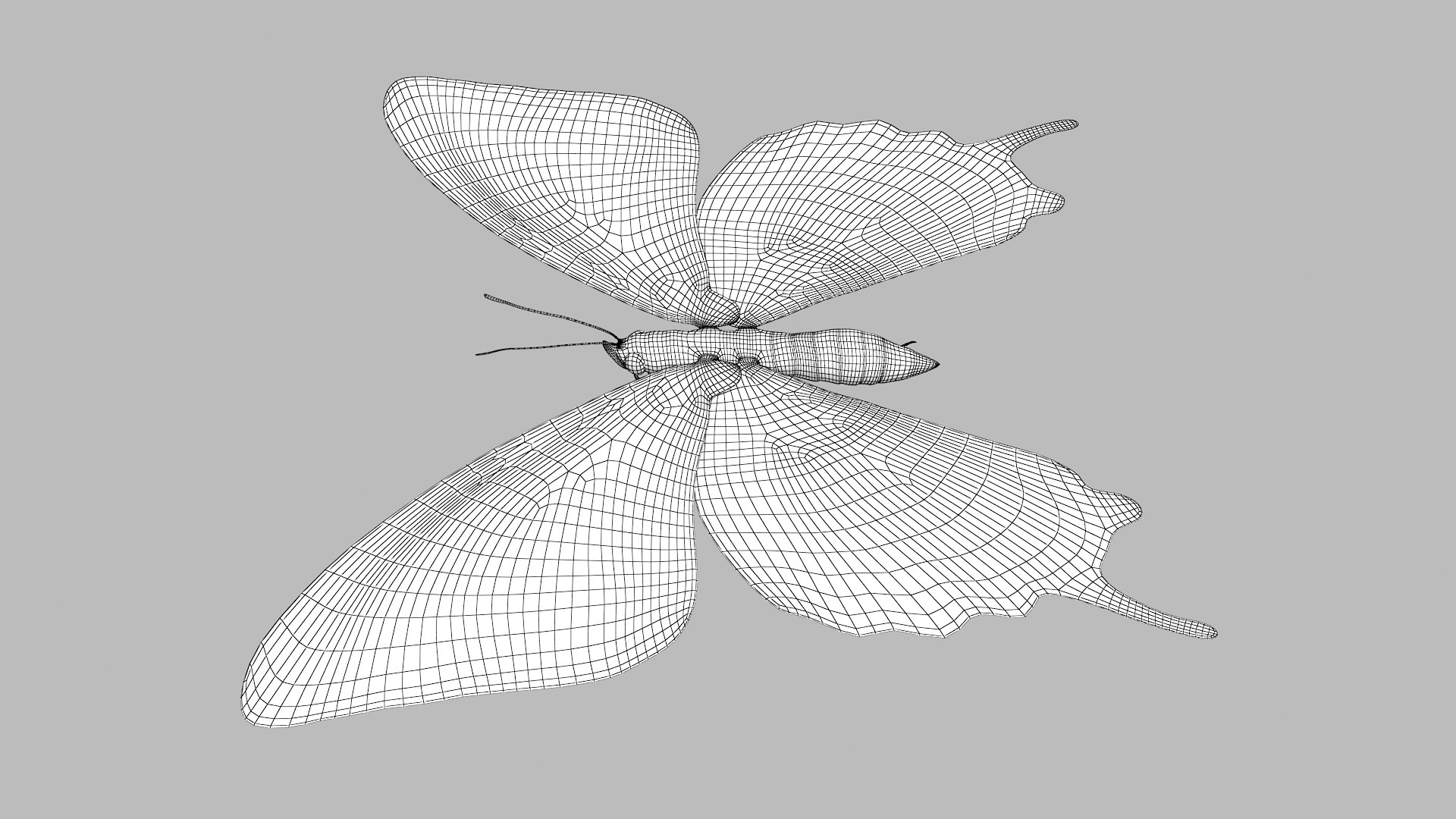 3D papilio swallowtail butterfly model https://p.turbosquid.com/ts-thumb/sJ/iMMUti/LyUqoUhY/pappilio_r2w/png/1592460235/1920x1080/fit_q87/c3451851893189678f9cf1fc27ae77fe96a4dade/pappilio_r2w.jpg