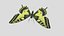 Papilio Swallowtail Butterfly