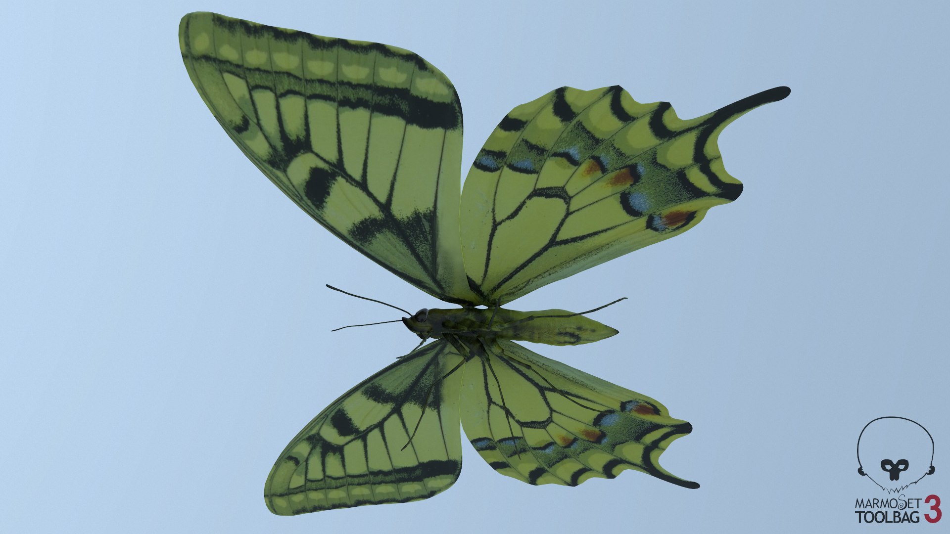 3D papilio swallowtail butterfly model https://p.turbosquid.com/ts-thumb/sJ/iMMUti/j6lq0f0Z/screenshot1890/png/1592515594/1920x1080/fit_q87/034bf8d4407f974d087138651d7f2121681eeb79/screenshot1890.jpg