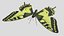 Papilio Swallowtail Butterfly
