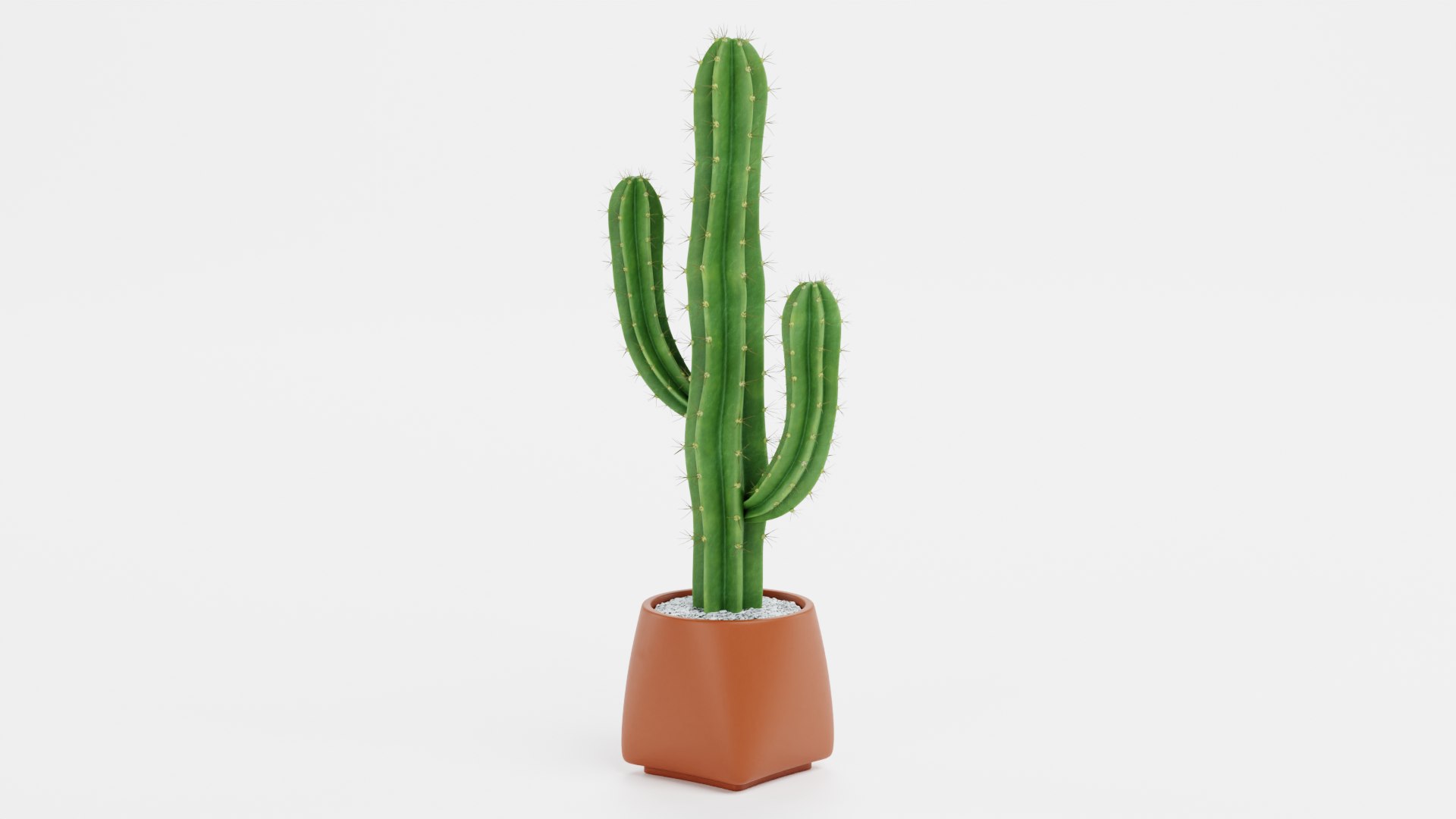 Saguaro in Pot 3D model https://p.turbosquid.com/ts-thumb/sJ/ixIoXR/FK/saguaroinpote/png/1690794650/1920x1080/fit_q87/f6f7f8ceb5ad454132848f8d0ad38cf96f3b5c9c/saguaroinpote.jpg