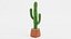 Saguaro em panela