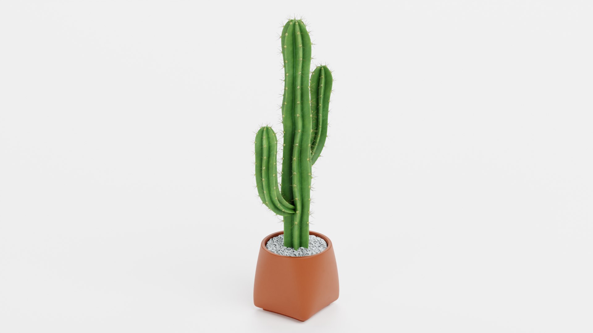 Saguaro in Pot 3D model https://p.turbosquid.com/ts-thumb/sJ/ixIoXR/GU/saguaroinpotd/png/1690794651/1920x1080/fit_q87/bd81e7613bdd1044566dc857a5e2808cb7ea3af5/saguaroinpotd.jpg