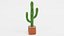 Saguaro em panela