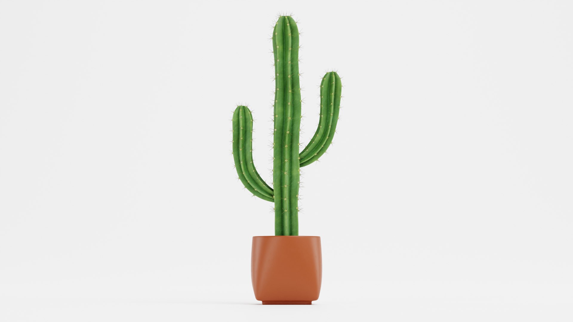 Saguaro in Pot 3D model https://p.turbosquid.com/ts-thumb/sJ/ixIoXR/We/saguaroinpotc/png/1690794649/1920x1080/fit_q87/dd02fa37c77ef02c22622dc3da71a21ee4eea8b6/saguaroinpotc.jpg