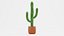 Saguaro em panela