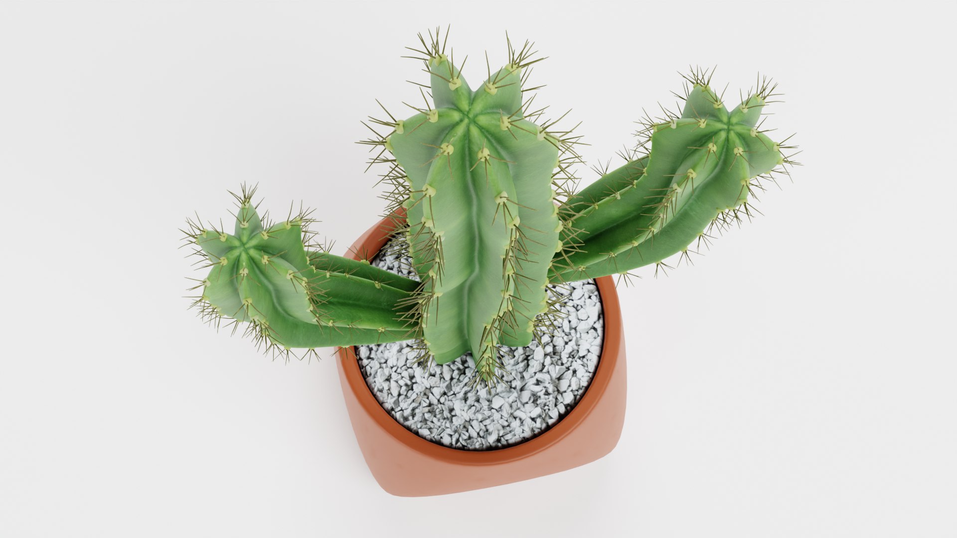 Saguaro in Pot 3D model https://p.turbosquid.com/ts-thumb/sJ/ixIoXR/dB/saguaroinpotg/png/1690794652/1920x1080/fit_q87/61fc70896625e6bbb6e7098a5ec6703a2929d46c/saguaroinpotg.jpg
