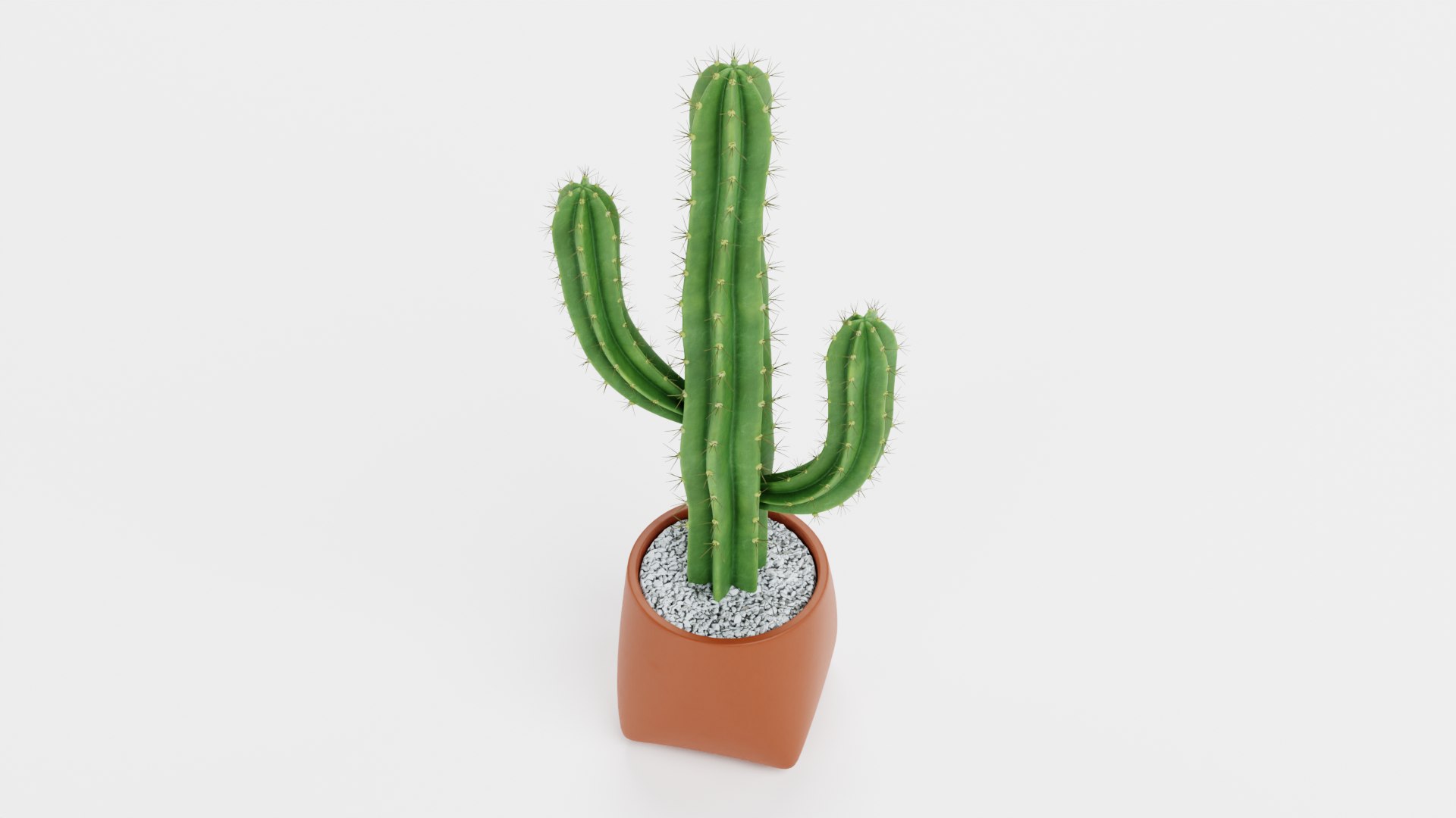 Saguaro in Pot 3D model https://p.turbosquid.com/ts-thumb/sJ/ixIoXR/gV/saguaroinpotf/png/1690794651/1920x1080/fit_q87/94f72b798f4a1faa20008864b66c8cdc15220a66/saguaroinpotf.jpg
