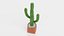 Saguaro em panela