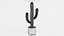 Saguaro em panela