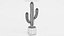 Saguaro em panela