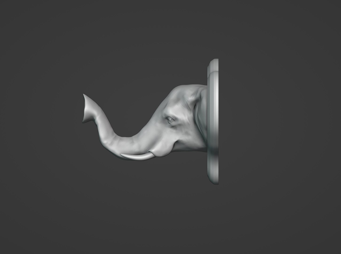 Elephant Head Wall Plaque 3D model https://p.turbosquid.com/ts-thumb/sJ/kIYd9i/MO/4/jpg/1714785629/1920x1080/fit_q87/700ec43d4eab6422c4eafe6cfee98dd8f0ddcb00/4.jpg