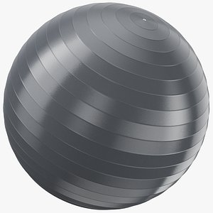 Exercise Yoga Ball 04
