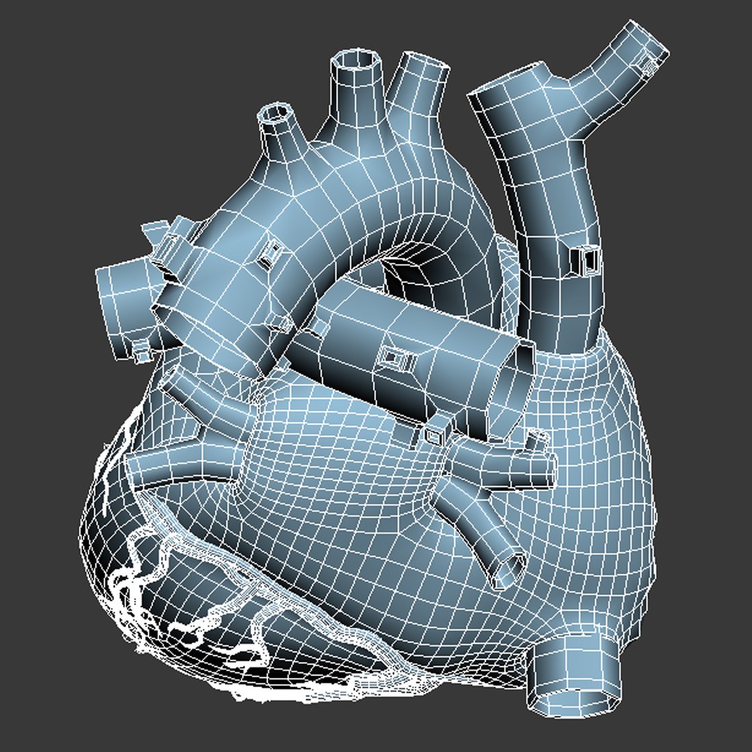 Max Human Heart