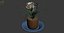 Flower 11
