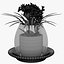Flower 11
