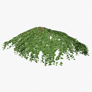 ivy pbr branches model