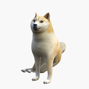 Doggo