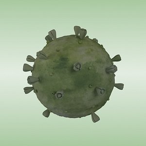 corona virus